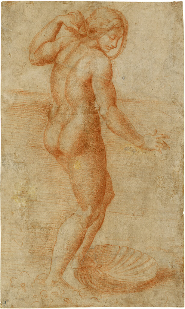 Giulio Pippi gen. Giulio Romano (Rome 1499 - 1546 Mantoue), Vénus Anadyomène, vers 1515, craie rouge, 243 × 147 mm
© Collection nationale d'art graphique de Munich, Inv.-Nr. 2459 Z
